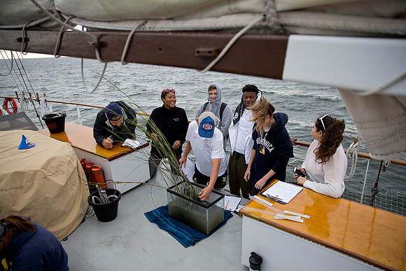 marinebio_soundwater_us_mkras_0127