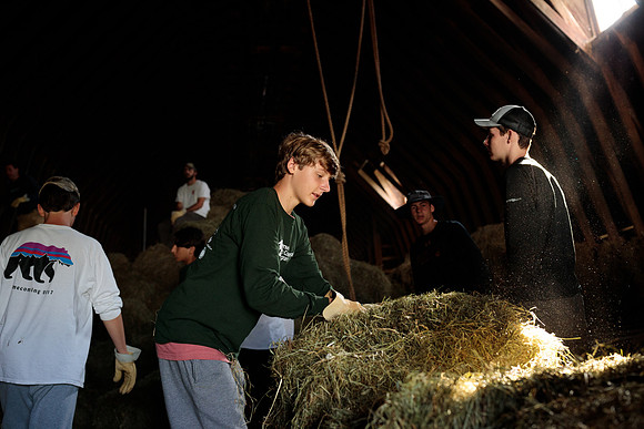 randolphvt1819_trip01_goatfarm_bdf_2295