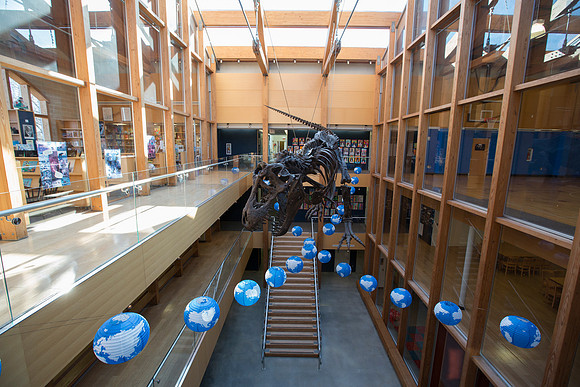 globes_mgraae_0005