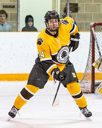 hockey_2019-01-12_dburns_4908