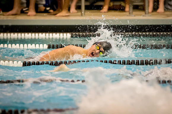 swimming_2018-12-05_jfess_1362