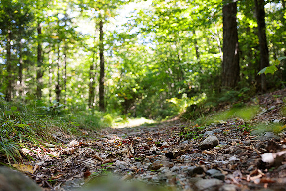 randolphvt2122_trip01_hike_bdf_4681