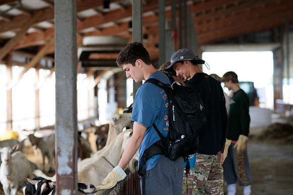 randolphvt1819_trip01_goatfarm_bdf_7080