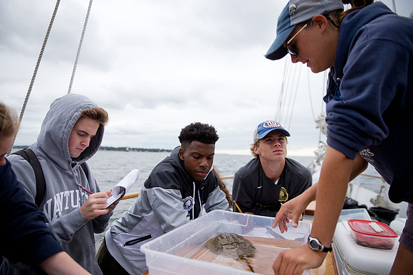 marinebio_soundwater_us_mkras_0199