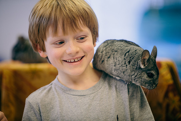 animals_ps_jkonczal_0866