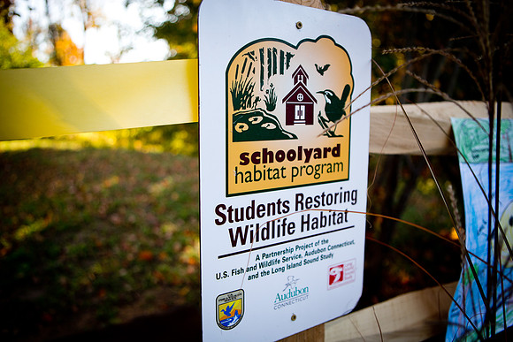 outdoorclassroom_ls_mkras_0026