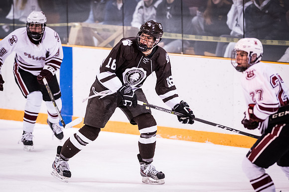 hockey_2018-01-29_wkl_9541