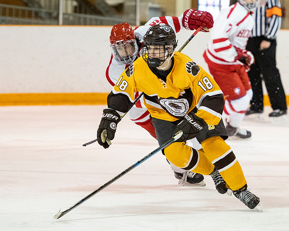 hockey_2019-01-12_dburns_4512