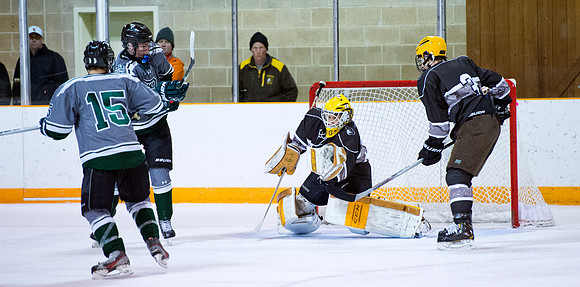 hockey_2016-01-09_dburns_4054
