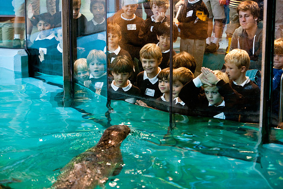 aquarium_ls_mkras_2412