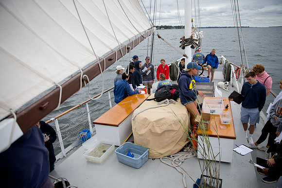 marinebio_soundwater_us_mkras_0286