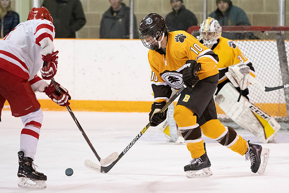 hockey_2019-01-12_dburns_4695
