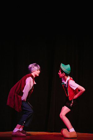 pinocchio_ms_jk_8210