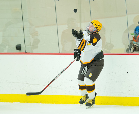 hockey_berkshire_9503