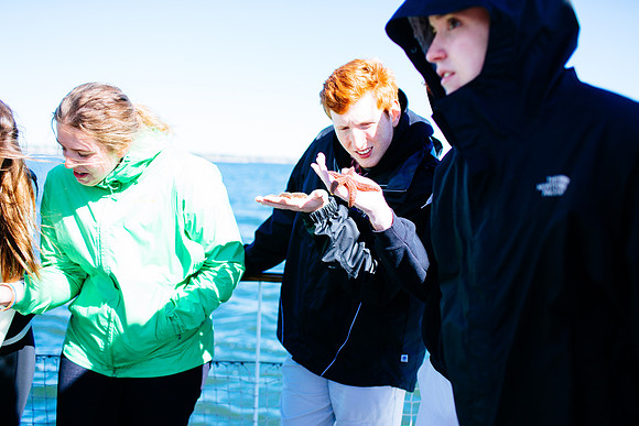 marinebio_soundwaters_jk_7584