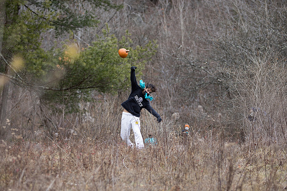 randolphvt2021_trip09_pumpkins_bdf_2729