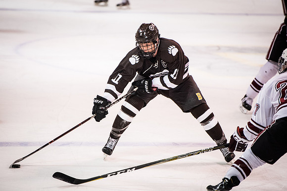 hockey_2018-01-29_wkl_9566