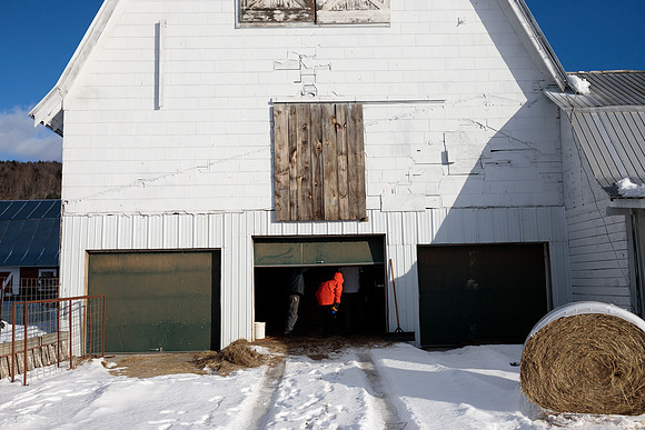 randolphvt1819_trip05_goatfarm_bdf_9514