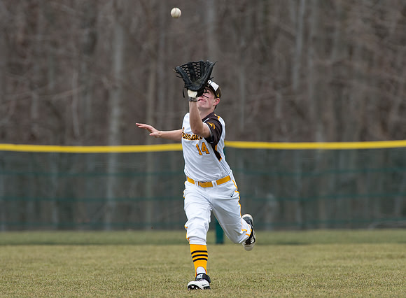 baseball_2015-03-30_dburns_4167