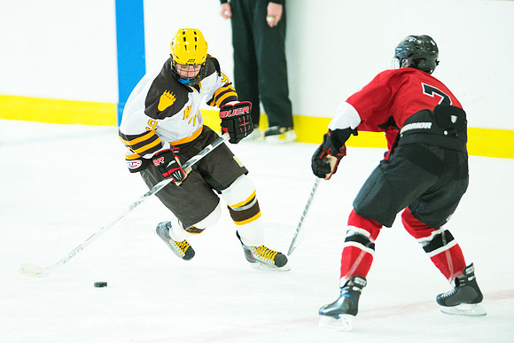 hockey_berkshire_9505