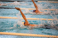 swimming_ms_2022-02-03_gh_0013