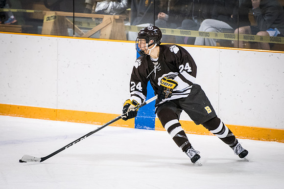 hockey_2018-01-27_wkl_8162