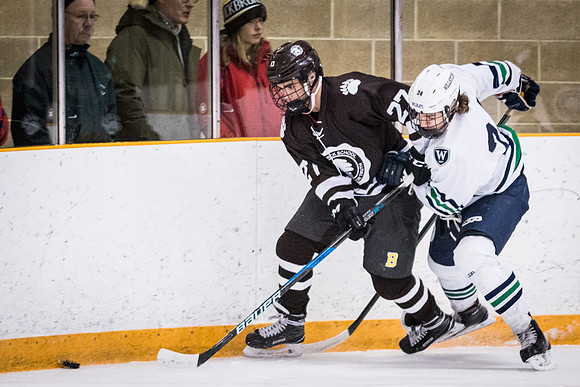 hockey_2018-01-27_wkl_8048