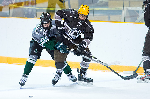 hockey_2016-01-09_dburns_1863