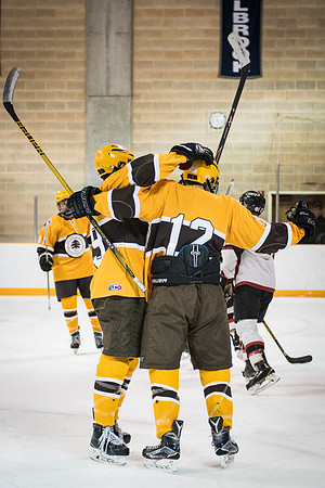 hockey_2016-02-17_wkl_8459