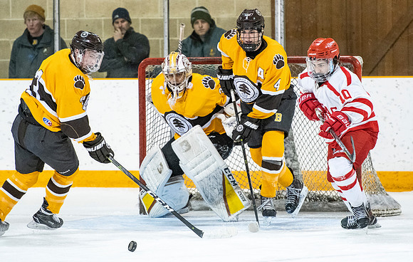 hockey_2019-01-12_dburns_4632