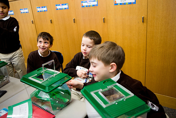 mammalexpo_gr1_mkras_0014