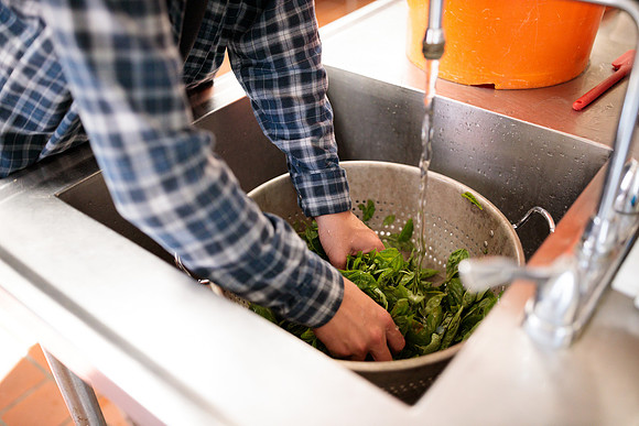 randolphvt2122_trip01_pesto_bdf_4592