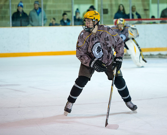 hockey_2015-01-06_woundwariors_dburns_6809