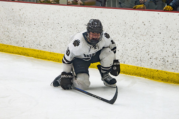 hockey_2025-02-19_rras_0096