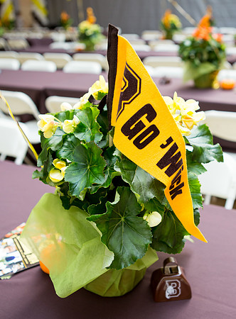homecoming14_bearfair_jfess_9843