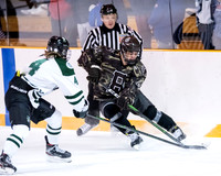 hockey_2022-01-21_dburns_0213