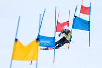 ski_2025-01-29_wkl1_3720