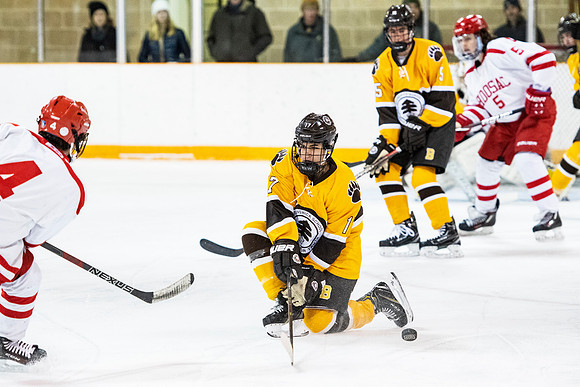 hockey_2019-01-12_dburns_4484