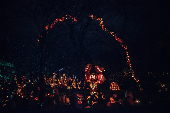 pumpkinblaze17_hp_3257