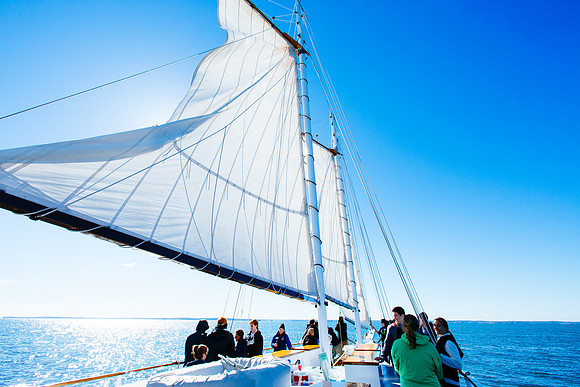 marinebio_soundwaters_jk_7318