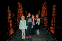 Pumpkin Blaze 2017