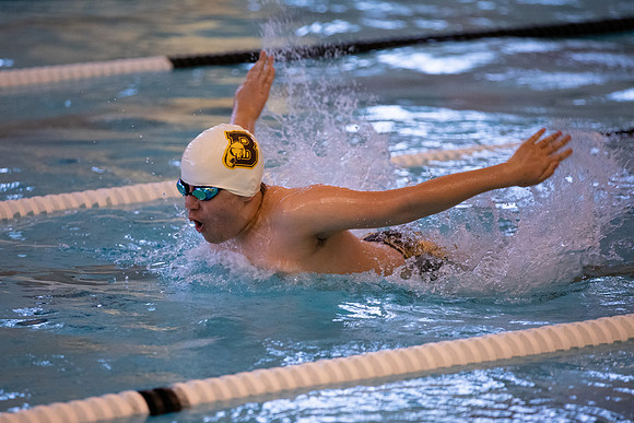 swimming_ms_2022-02-03_gh_0033