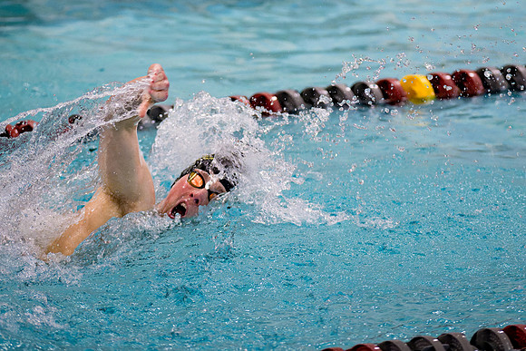 swimming_2025-02-08_ah_0115