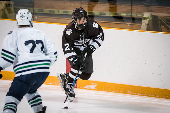 hockey_2018-01-27_wkl_8192