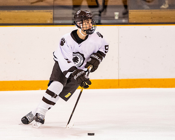 hockey_2018-12-08_dburns_3001