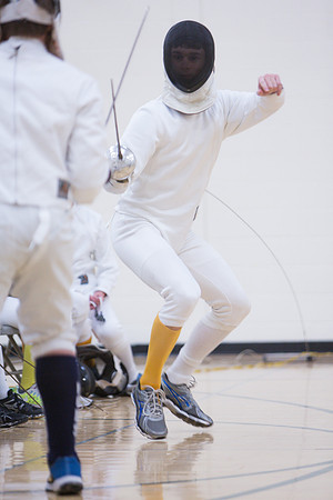 fencing_2015-01-23_jk_8737