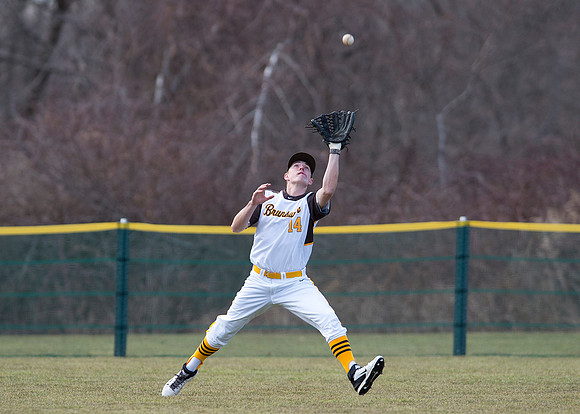 baseball_2015-03-30_dburns_0418