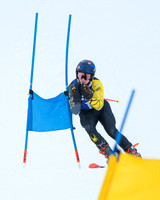 ski_2025-01-29_wkl1_3696