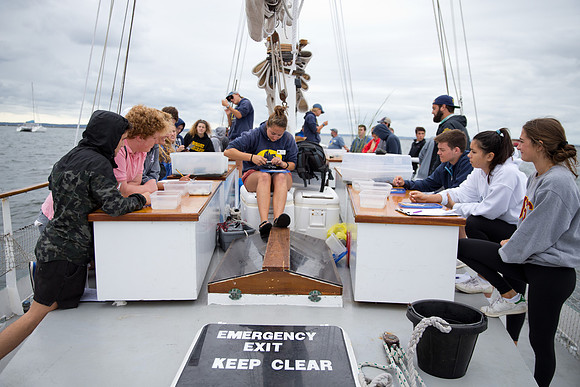 marinebio_soundwater_us_mkras_0363