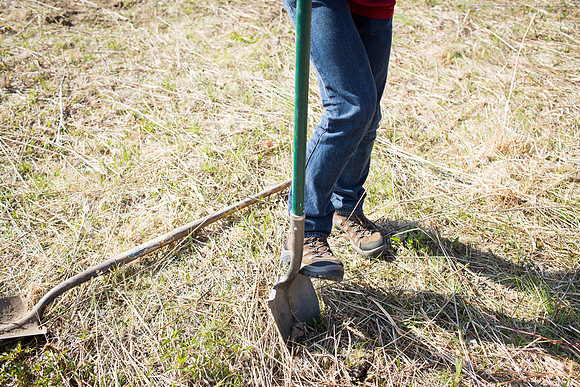 commserviceday14_jkonczal_4088